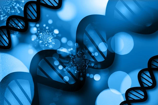 高效聚氨酯硬泡催化劑，確保泡沫快速固化，具有高閉孔率和優(yōu)異的保溫性能